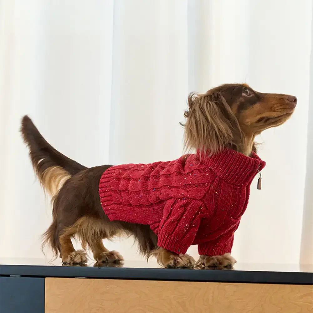 Cable Knit Zipper Collar Dachshund Dog Jumper