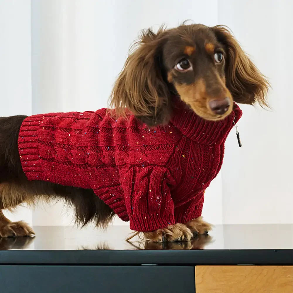 Cable Knit Zipper Collar Dachshund Dog Jumper