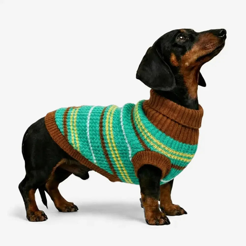 Color Blocked Striped Dachshund Dog Jumper
