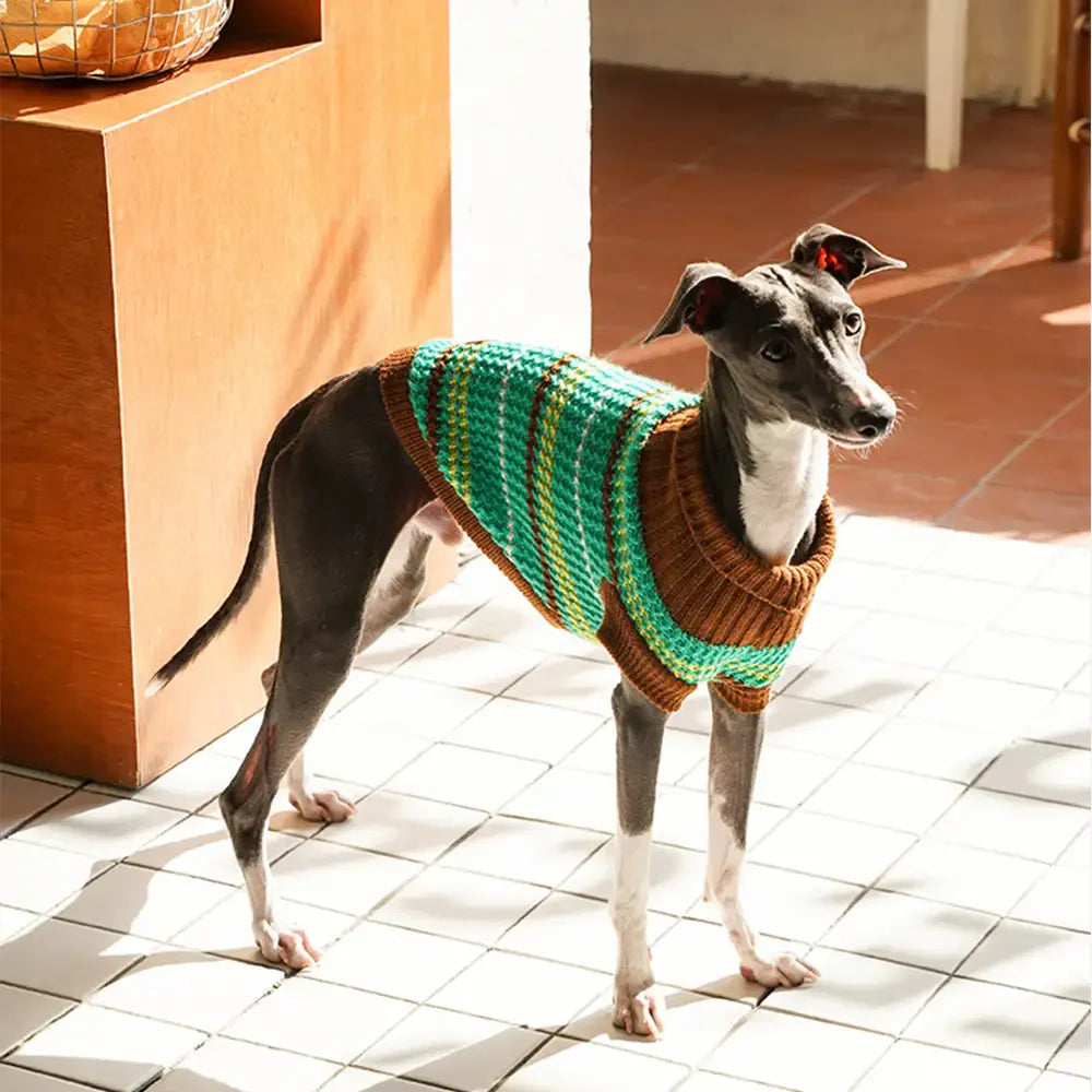 Color Blocked Striped Dachshund Dog Jumper