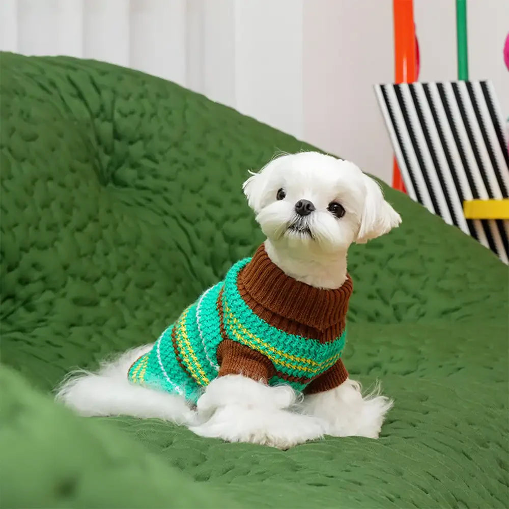 Color Blocked Striped Dachshund Dog Jumper