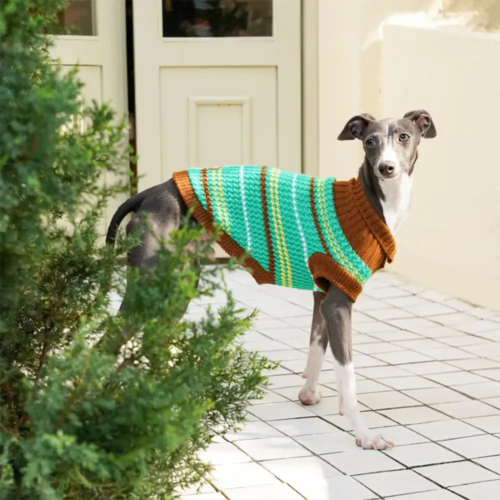 Color Blocked Striped Dachshund Dog Jumper