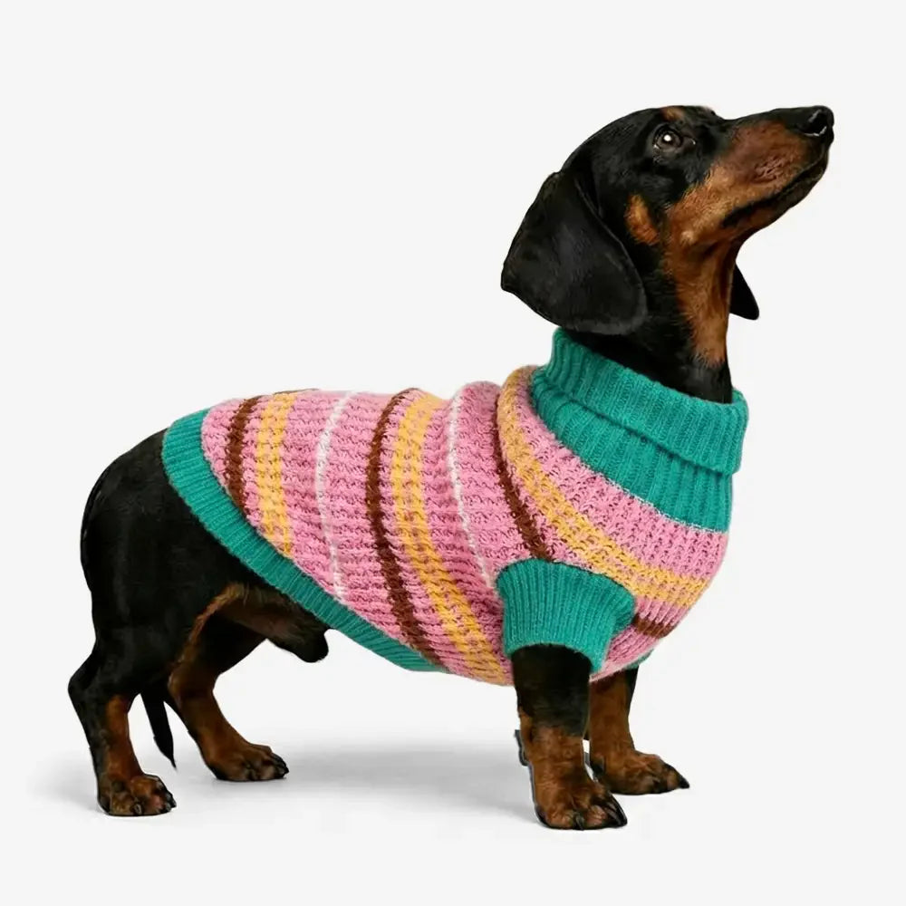 Color Blocked Striped Dachshund Dog Jumper