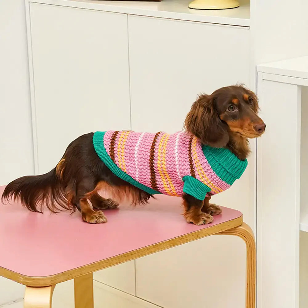Color Blocked Striped Dachshund Dog Jumper