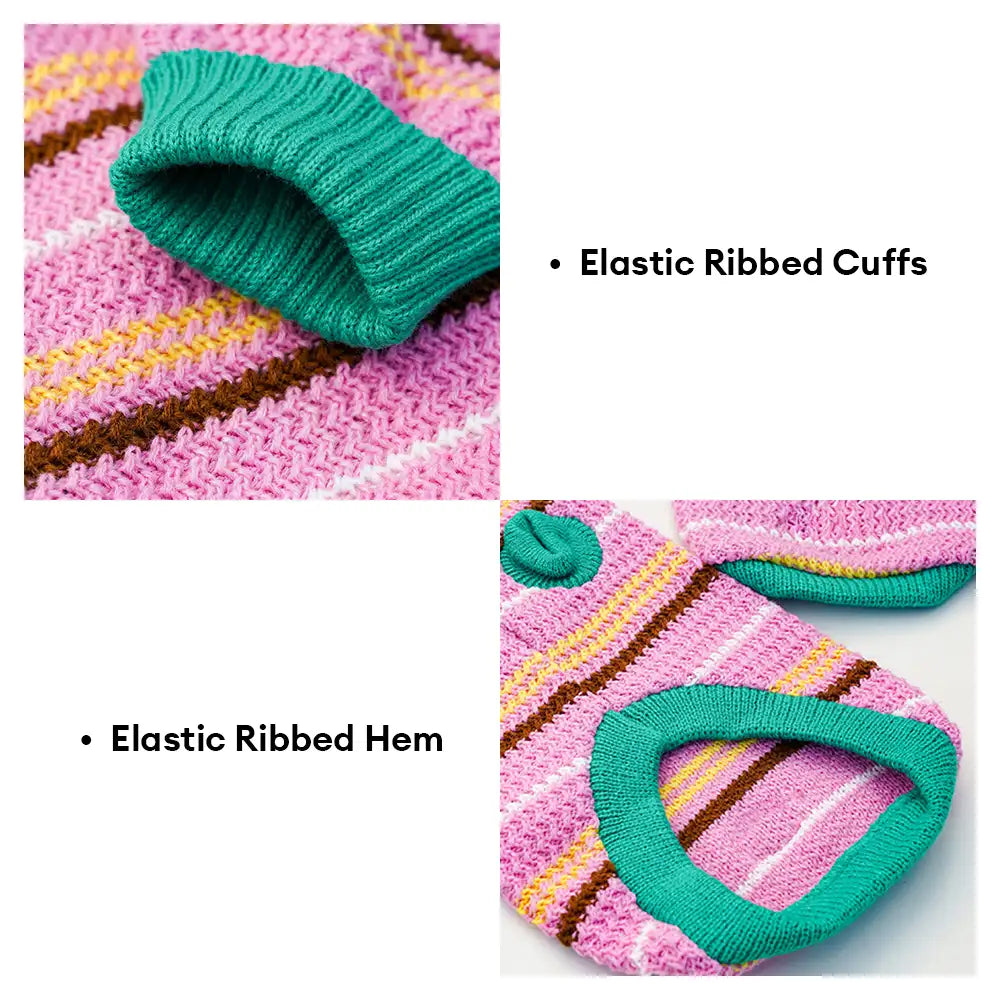 Color Blocked Striped Dachshund Dog Jumper