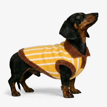 Color Blocked Striped Dachshund Polo Collar Dog Jumper Dog Clothes Sweater