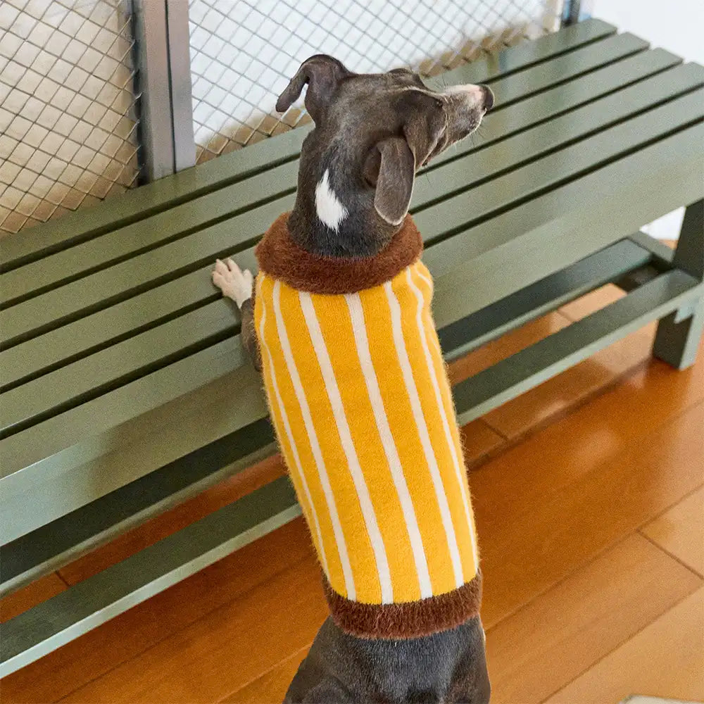 Color Blocked Striped Dachshund Polo Collar Dog Jumper Dog Clothes Sweater