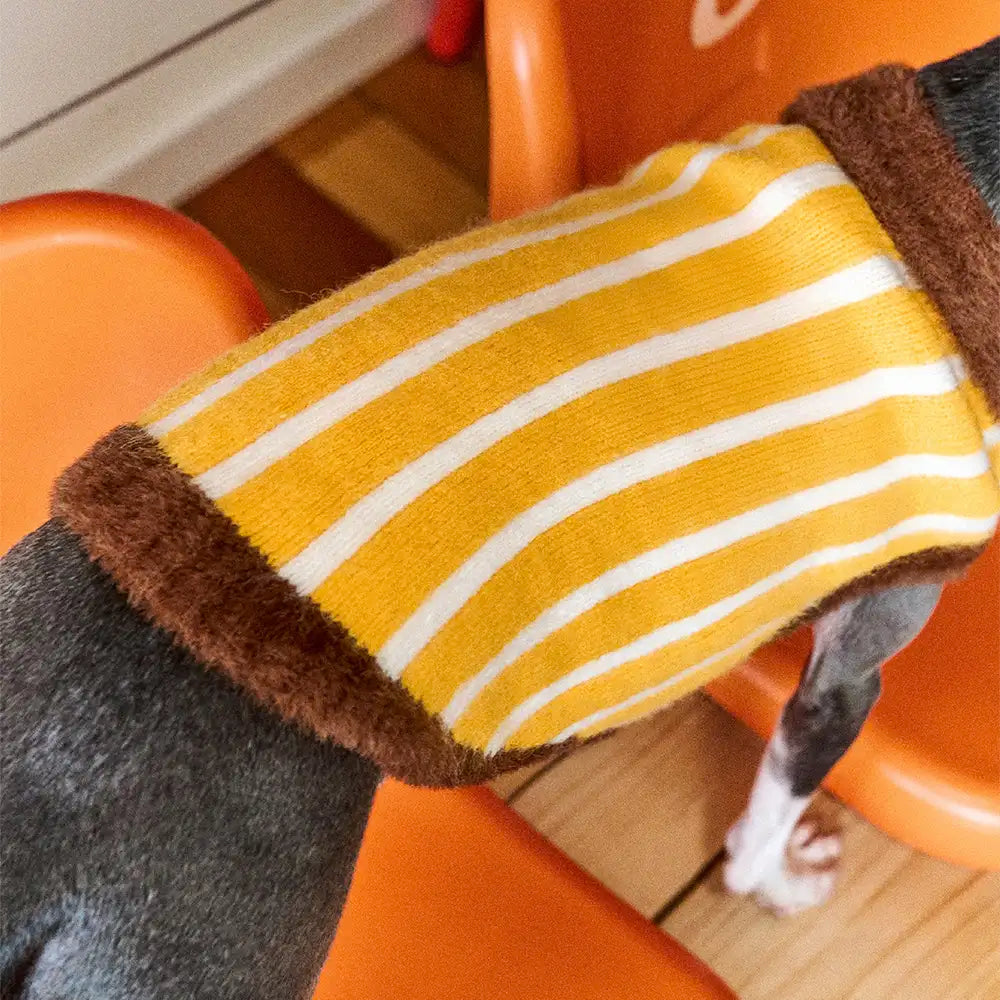 Color Blocked Striped Dachshund Polo Collar Dog Jumper Dog Clothes Sweater