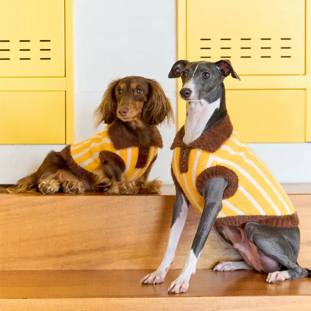 Color Blocked Striped Dachshund Polo Collar Dog Jumper Dog Clothes Sweater