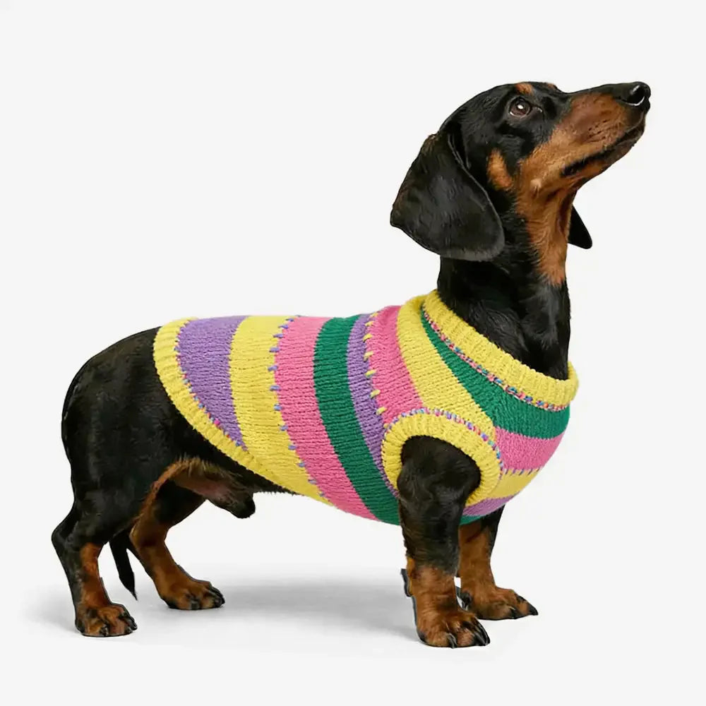Color Blocked Striped Dachshund Sleeveless Dog Jumper
