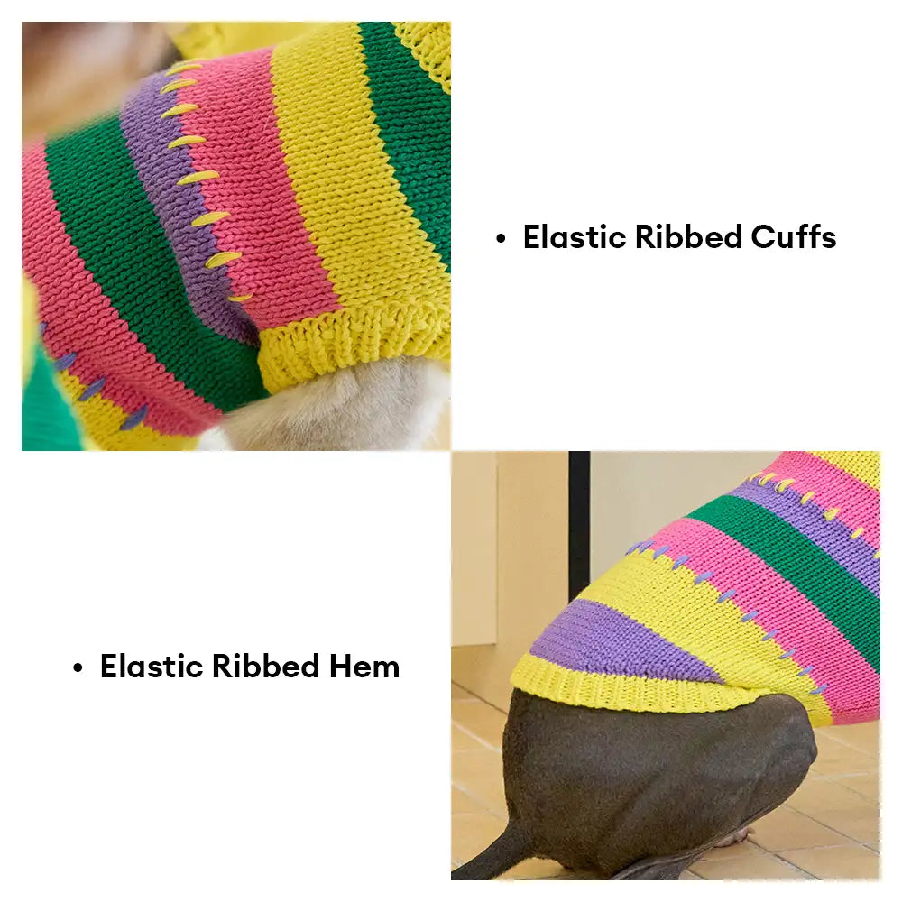 Color Blocked Striped Dachshund Sleeveless Dog Jumper