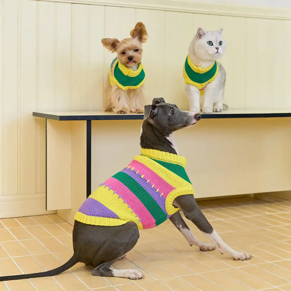 Color Blocked Striped Dachshund Sleeveless Dog Jumper