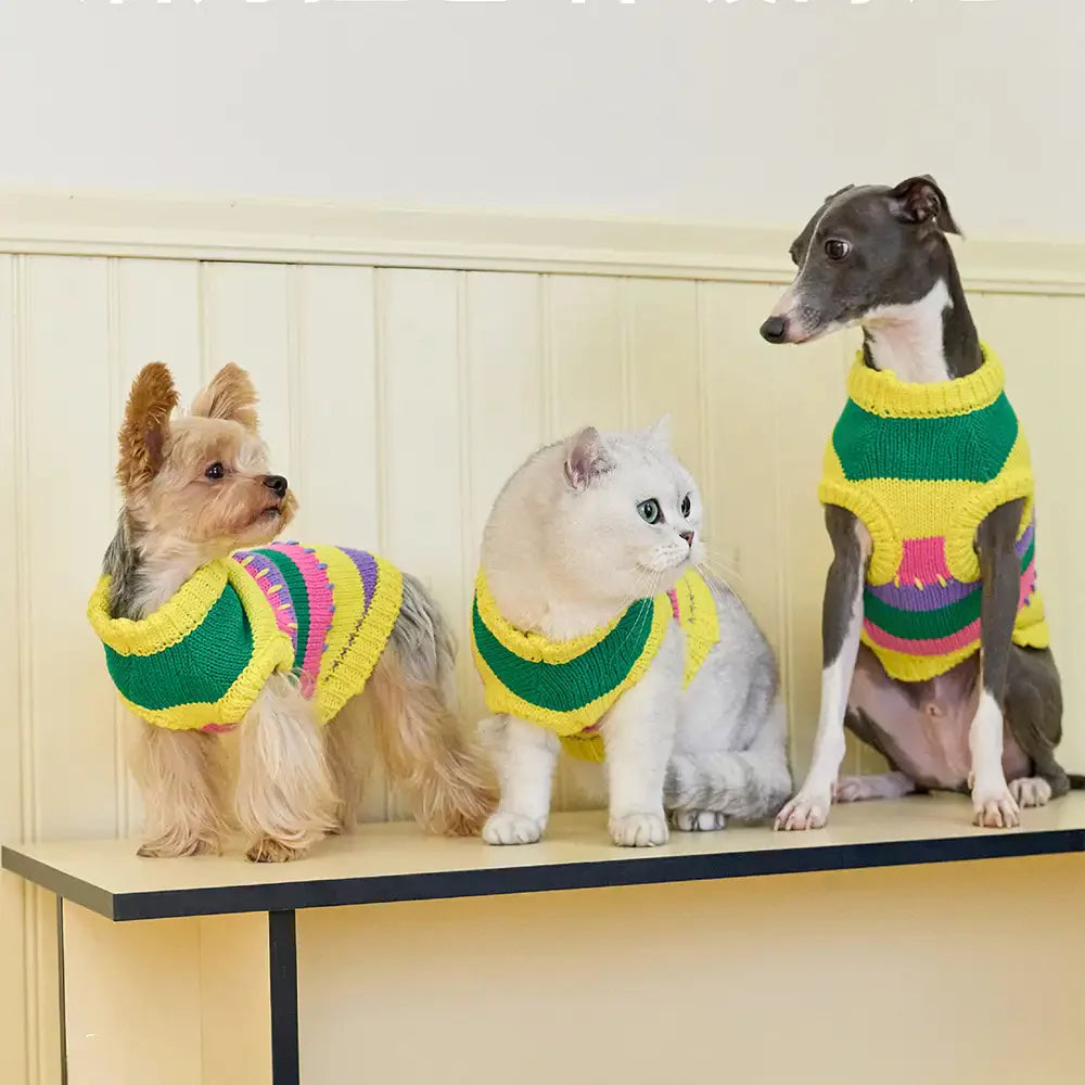 Color Blocked Striped Dachshund Sleeveless Dog Jumper