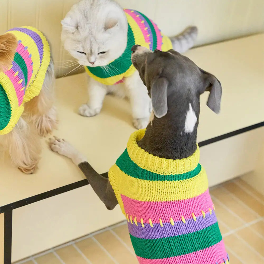 Color Blocked Striped Dachshund Sleeveless Dog Jumper