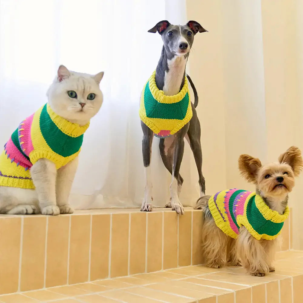 Color Blocked Striped Dachshund Sleeveless Dog Jumper