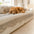 Cookie Comfortable Plush Skin-Friendly Non-Slip Sofa Cover
