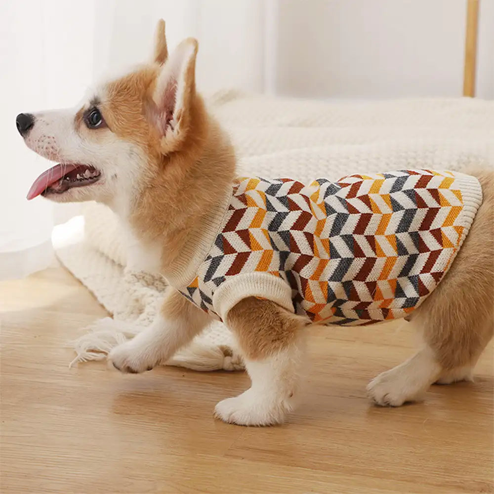 Diamond Striped Dachshund Dog Jumper Dog Clothes Sweater