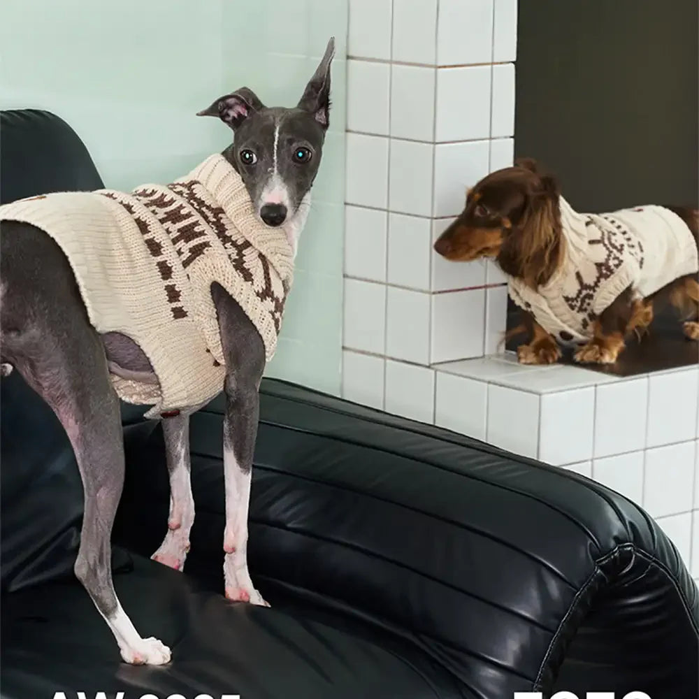 Fair Isle Pattern Dachshund Sleeveless Dog Jumper