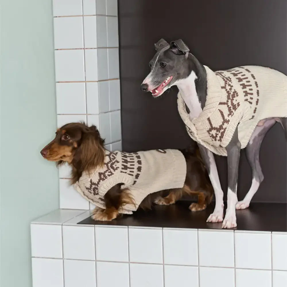Fair Isle Pattern Dachshund Sleeveless Dog Jumper