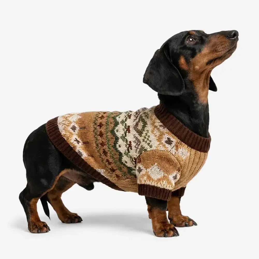 Fair Isle Vintage Pattern Dachshund And Small To Medium-Sized Dog Jumper
