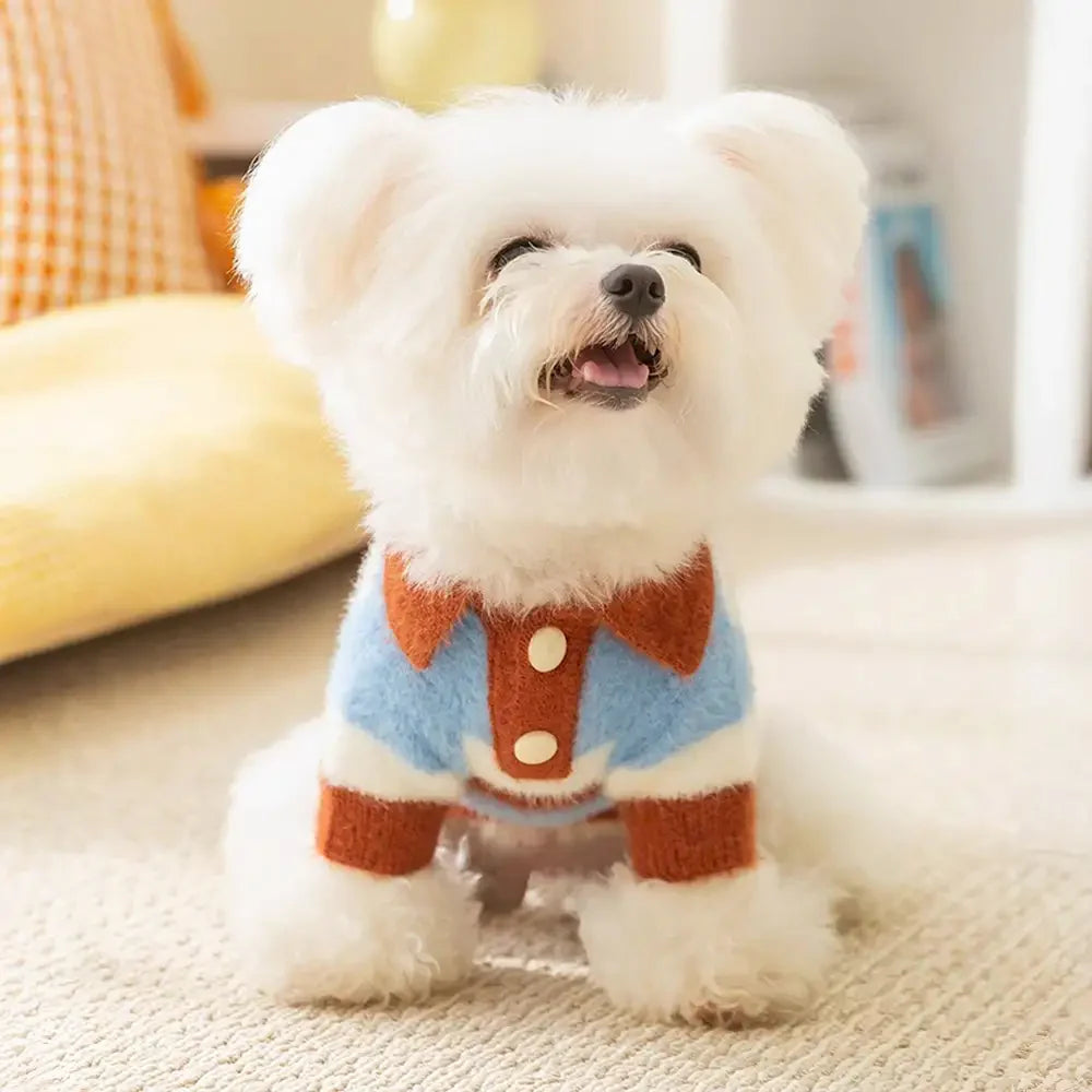 Faux Wool Color-Block Dog Jumper with Striped Collar