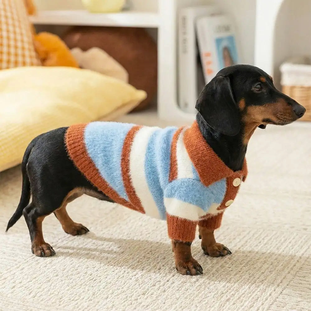 Faux Wool Color-Block Dog Jumper with Striped Collar