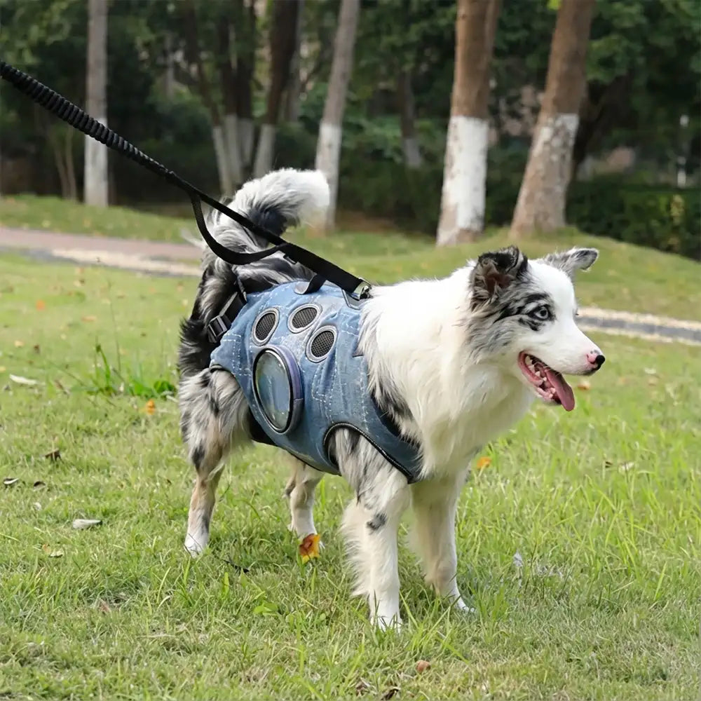 Hands-Free Dog Backpack Carrier for Travel & Hiking – Multifunctional Backpack
