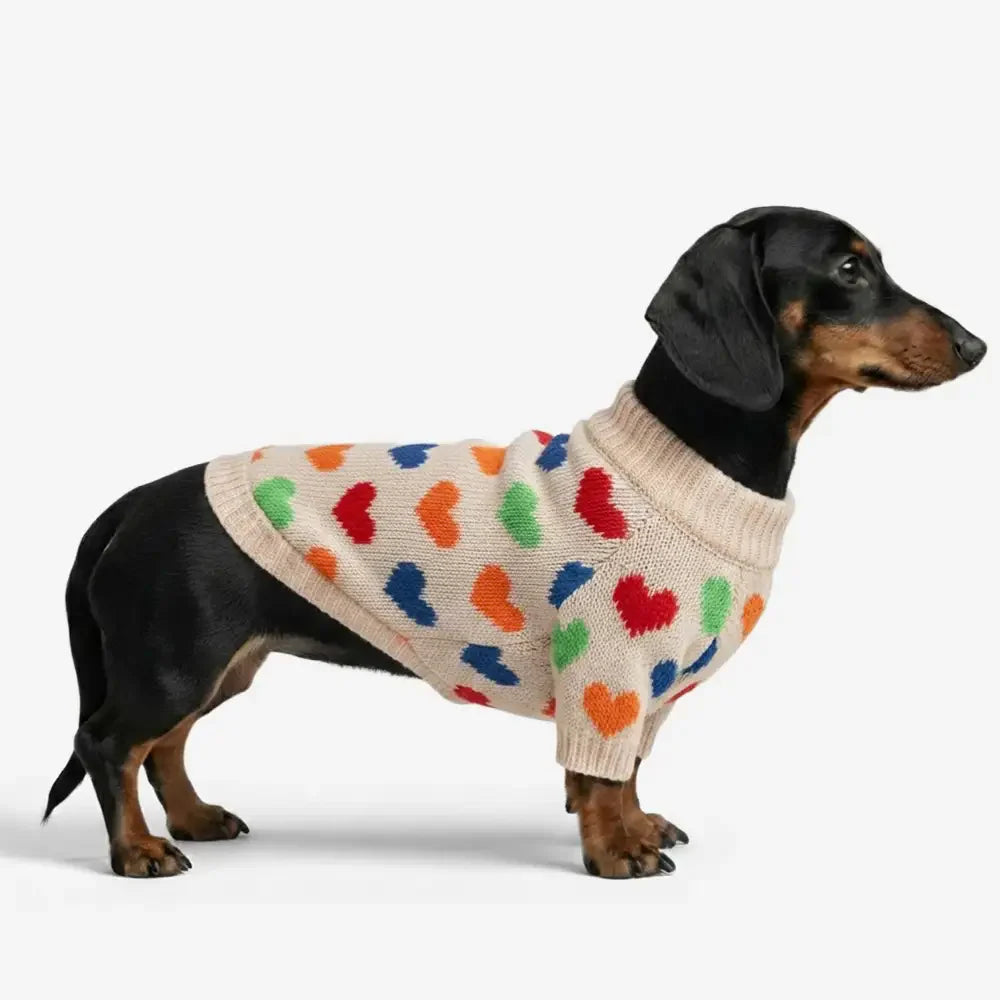 Heart Patterned Dachshund Dog Jumper Dog Clothes Sweater