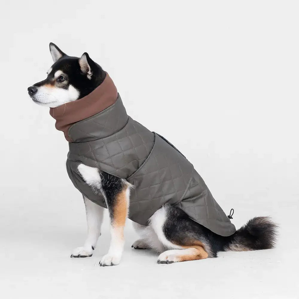High-Neck Quilted Dog Coat – Warm Fashion Winter Coat