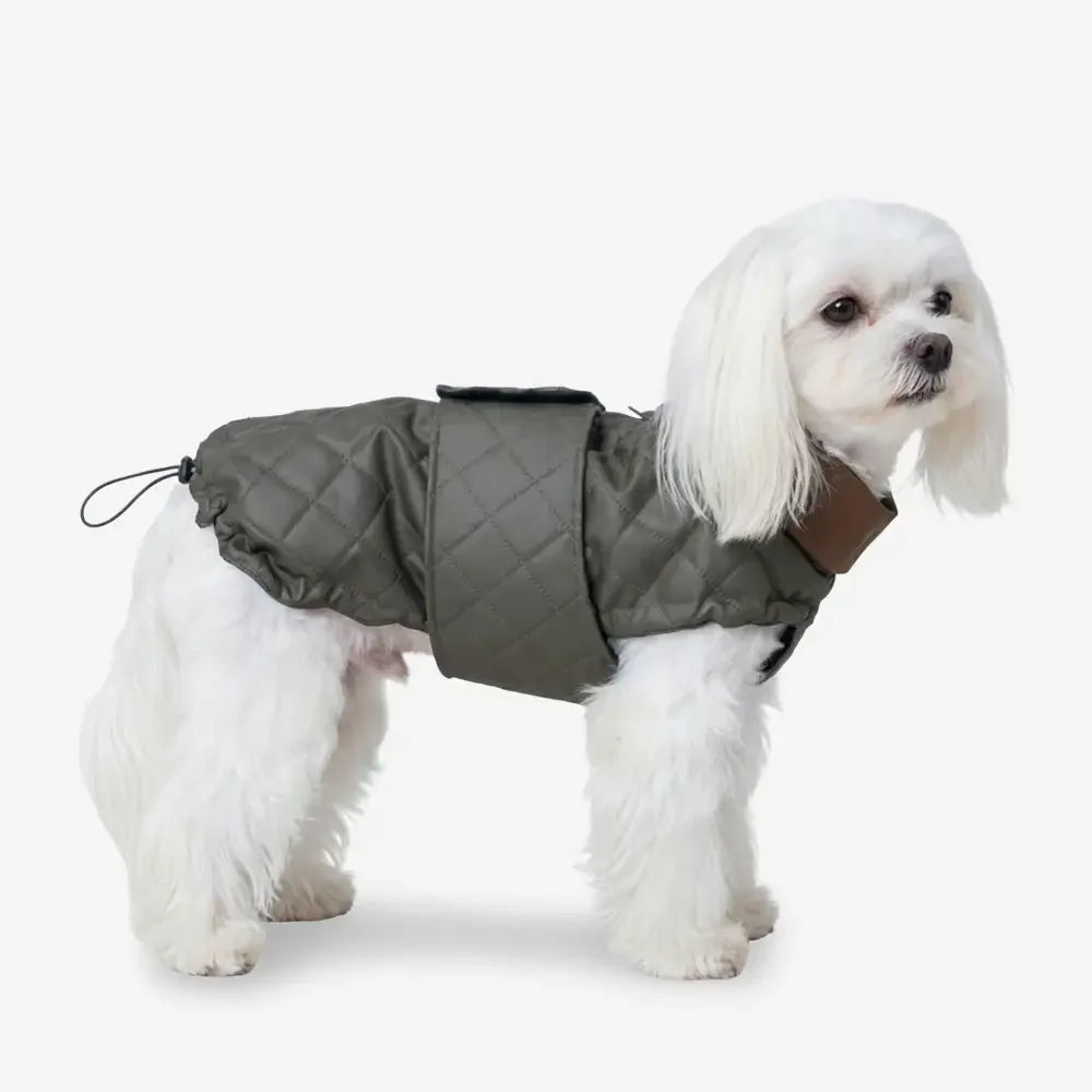 High-Neck Quilted Dog Coat – Warm Fashion Winter Coat