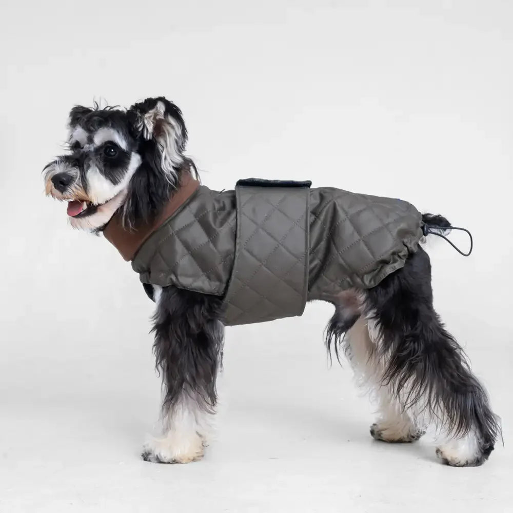 High-Neck Quilted Dog Coat – Warm Fashion Winter Coat