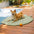 Leaf Shaped Cooling Fabric Heat-Absorbing Comfortable Non-Slip Dog Mat