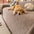 Linework Pattern Chenille Comfortable Scratch-Resistant Sofa Throw Sofa Cover