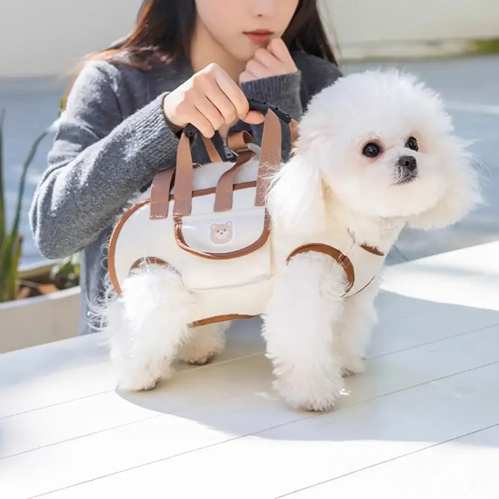 Multifunctional Portable Traction Cross-body Small Dog Carrier Backpack