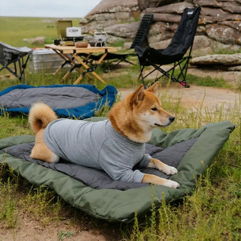 Outdoor Campsite Moisture-Proof And Waterproof Portable Dog Bed