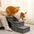 Portable Multi-Functional Foldable Dog Steps with Storage and Condo