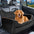 Portable Washable Travel Safety Large Dog Car Booster Seat Bed for Back Seat