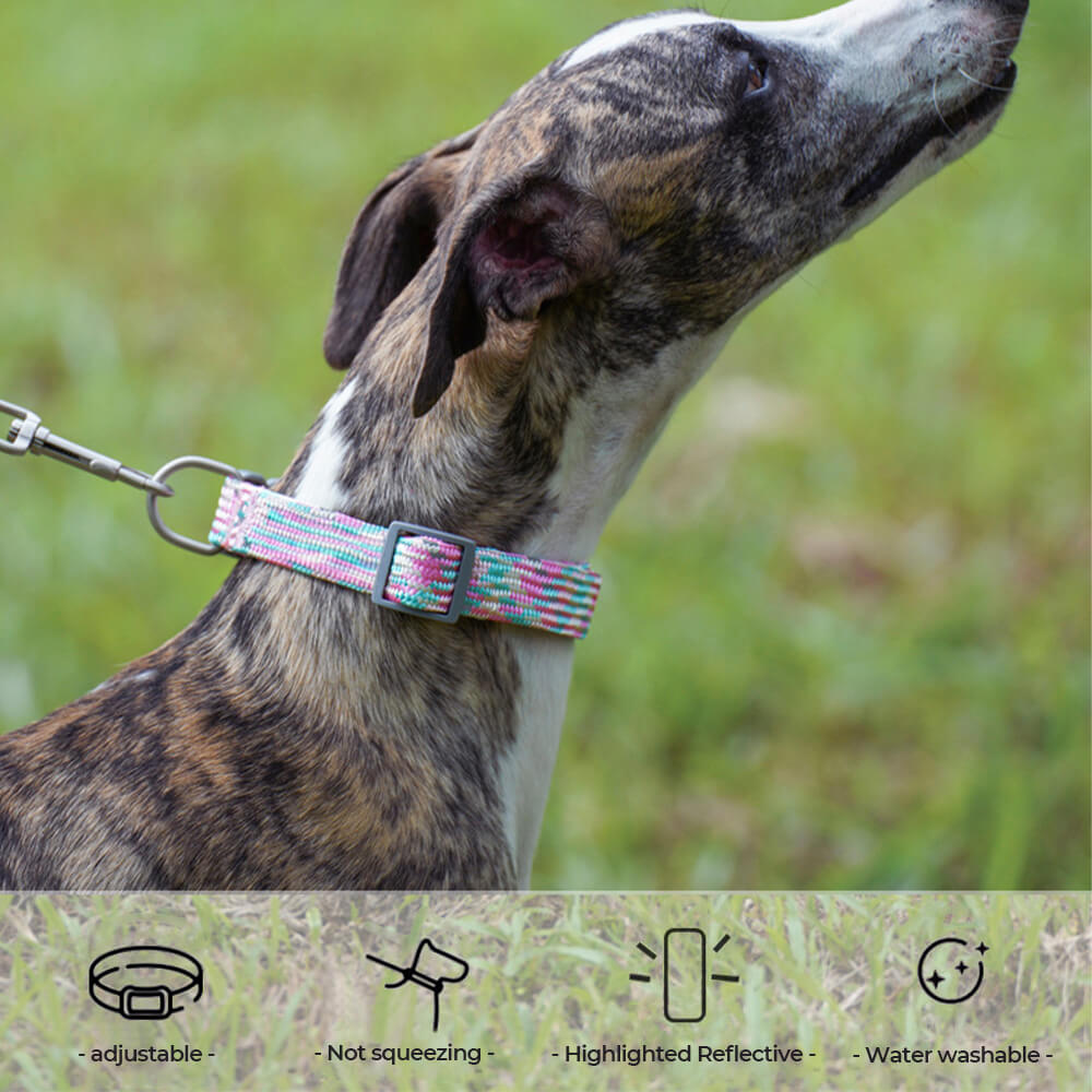 Reflective Weave Adjustable Anti Pull Dog Collar and Lead