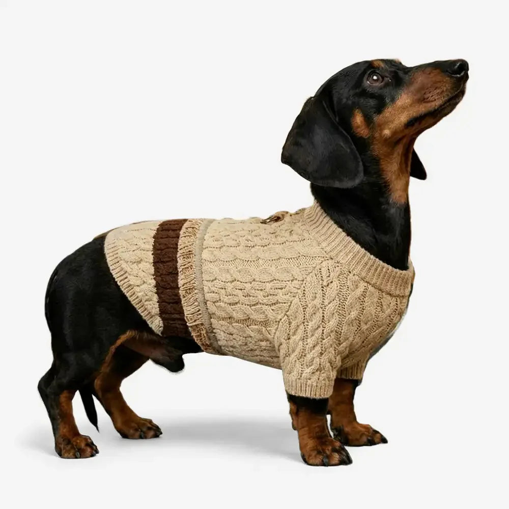 Retro Cable Knit Dachshund And Small To Medium-Sized Dog Jumper