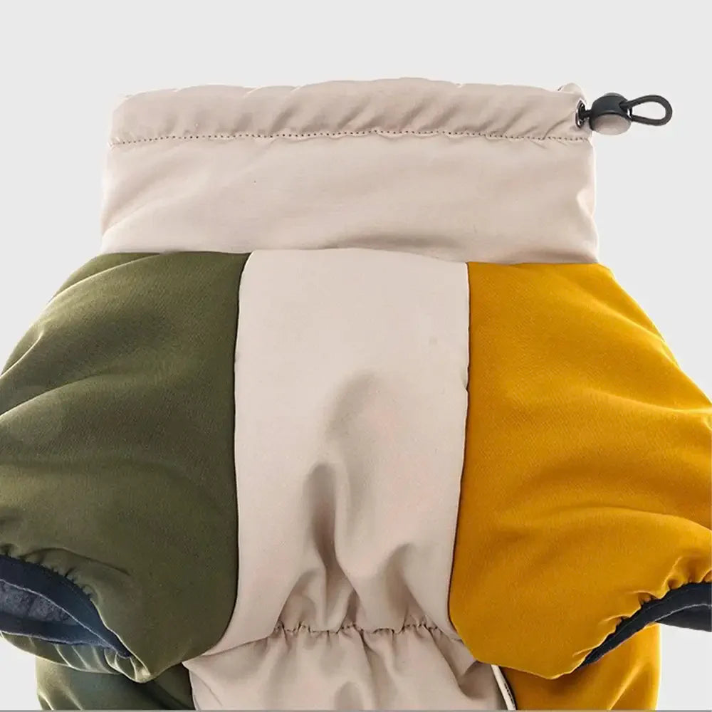 Retro Color-Block Fleece-Lined Warm Dog Coat with Leash Buckle