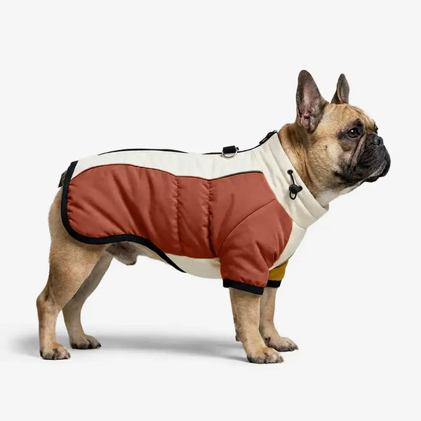 Retro Color-Block Fleece-Lined Warm Dog Coat with Leash Buckle