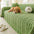Simple Thickened Soft Fleece Fabric Sofa Protection Sofa Cover Sofa Throws