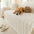 Simple Thickened Soft Fleece Fabric Sofa Protection Sofa Cover Sofa Throws