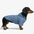 Stylish Dual-Sided Reversible Wear Windproof Outdoor Dog Jacket