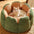 Cactus Shape Comfy Pet Bed