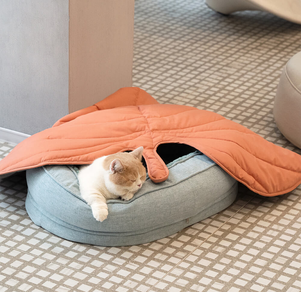 Calming Leaf Shape Dog Blanket With Donut Dog Bed