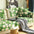 Super Soft Floral Anti-scratch Furniture Protector Sofa Cover