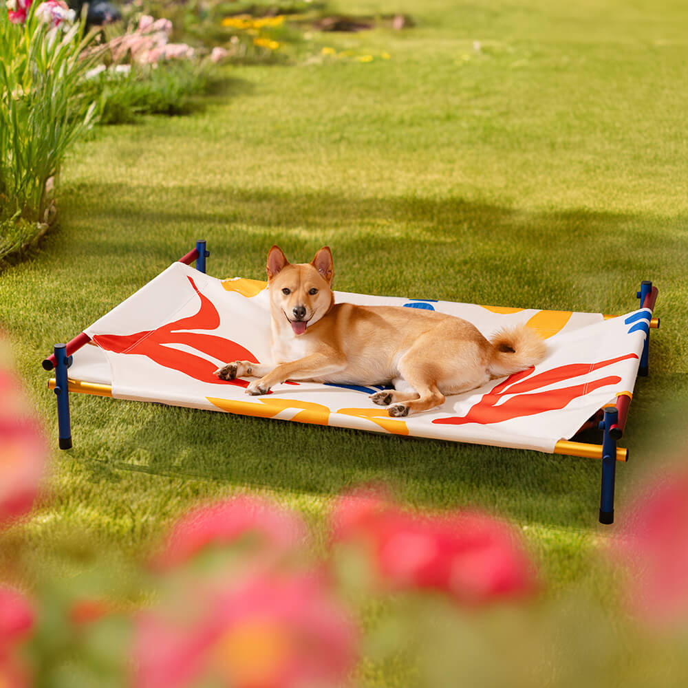 Vibrant Summer Print Style Aluminium Elevated Dog Bed - Summer Paradise