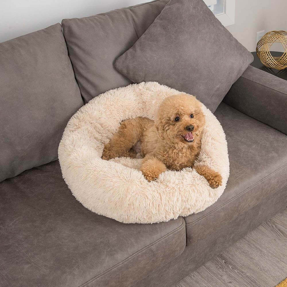 Dog Bed - Fuzzy Round