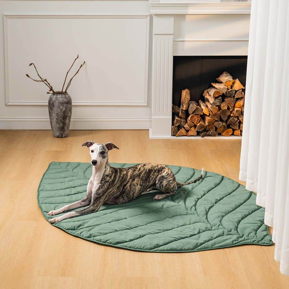 Super Large High Quality Leaf Shape Human Mat Dog Blanket